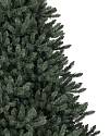 Branch Sample Kit by Balsam Hill Closeup Classic Blue Spruce