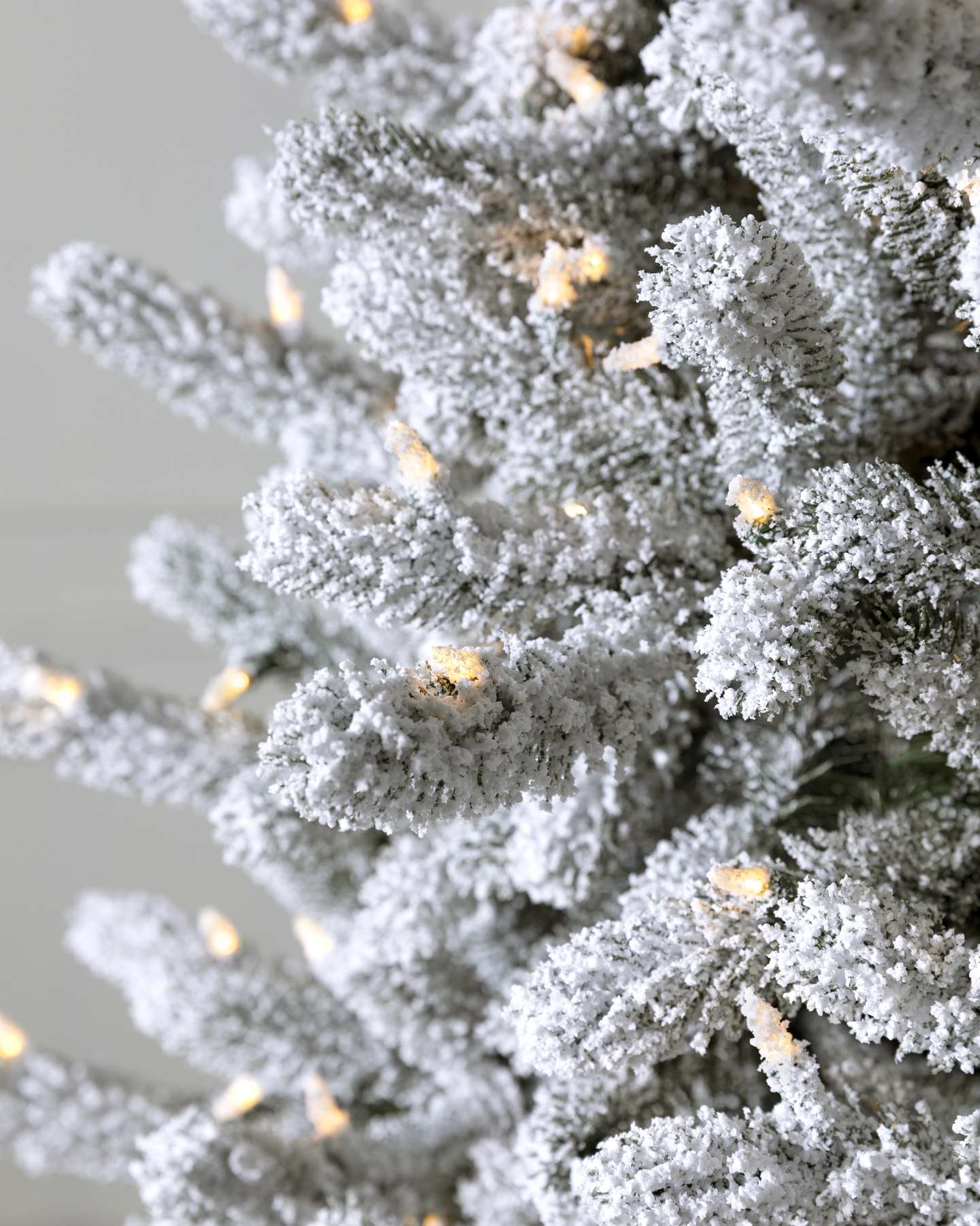 Frosted Vermont White Spruce by Balsam Hill Closeup 20