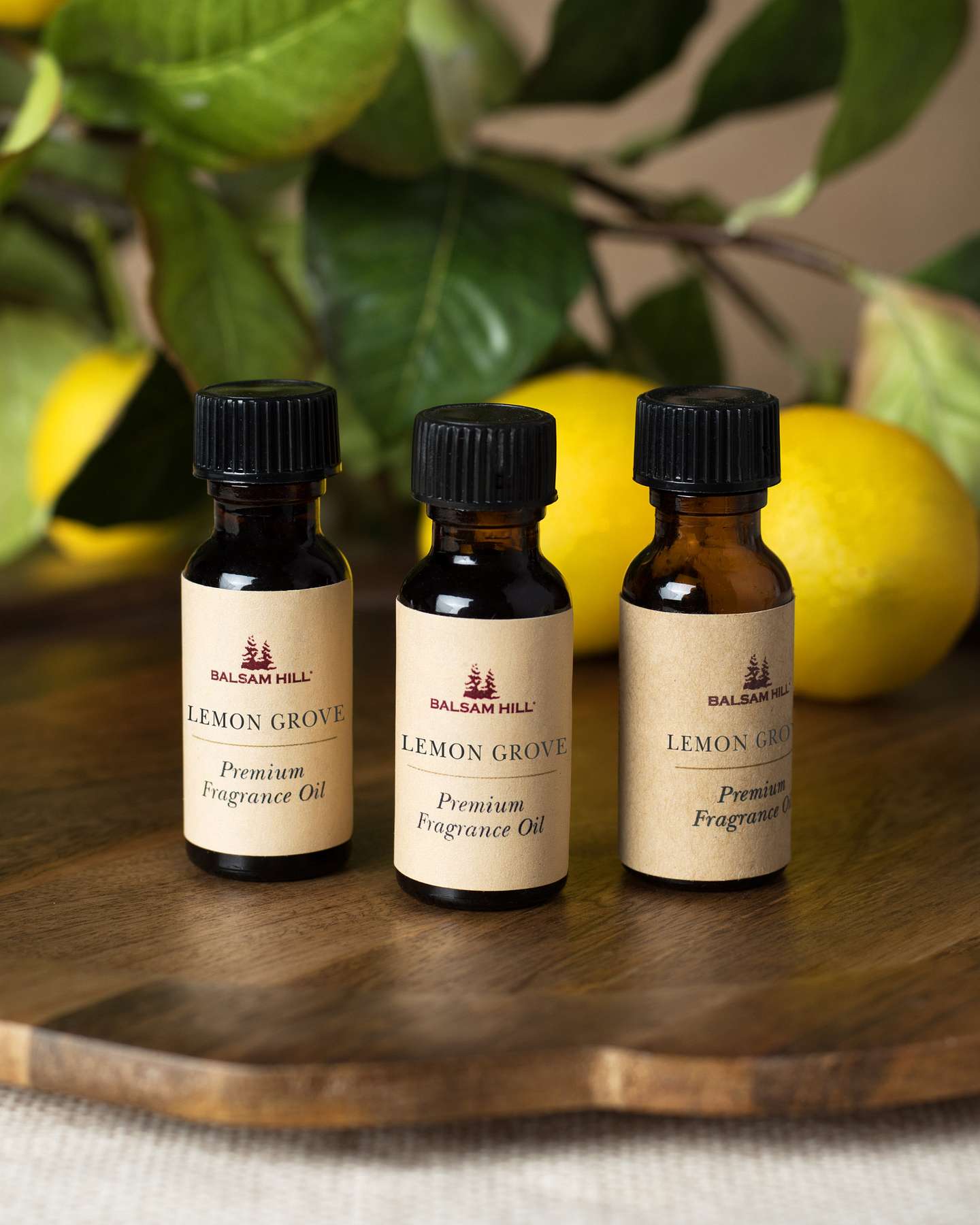 Balsam Hill Lemon Grove Scents of the Season Cartridge Set of 3