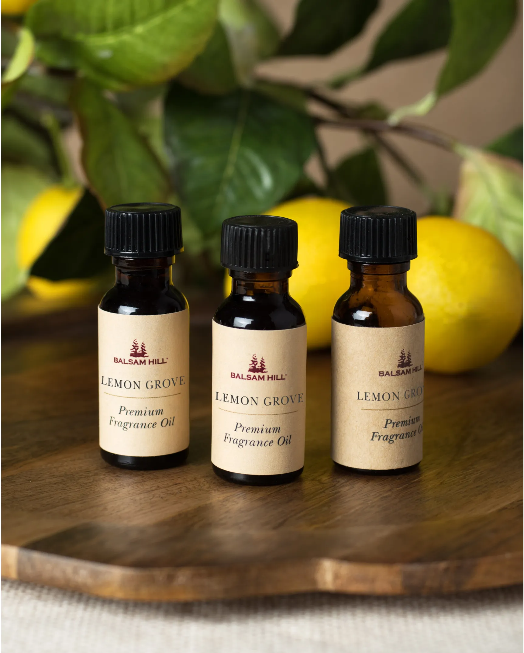 Fragrance Oil Sample Set Set of 5 Scent Oil for Diffuser Aroma Diffuser  Starter Set Gift Under 20 