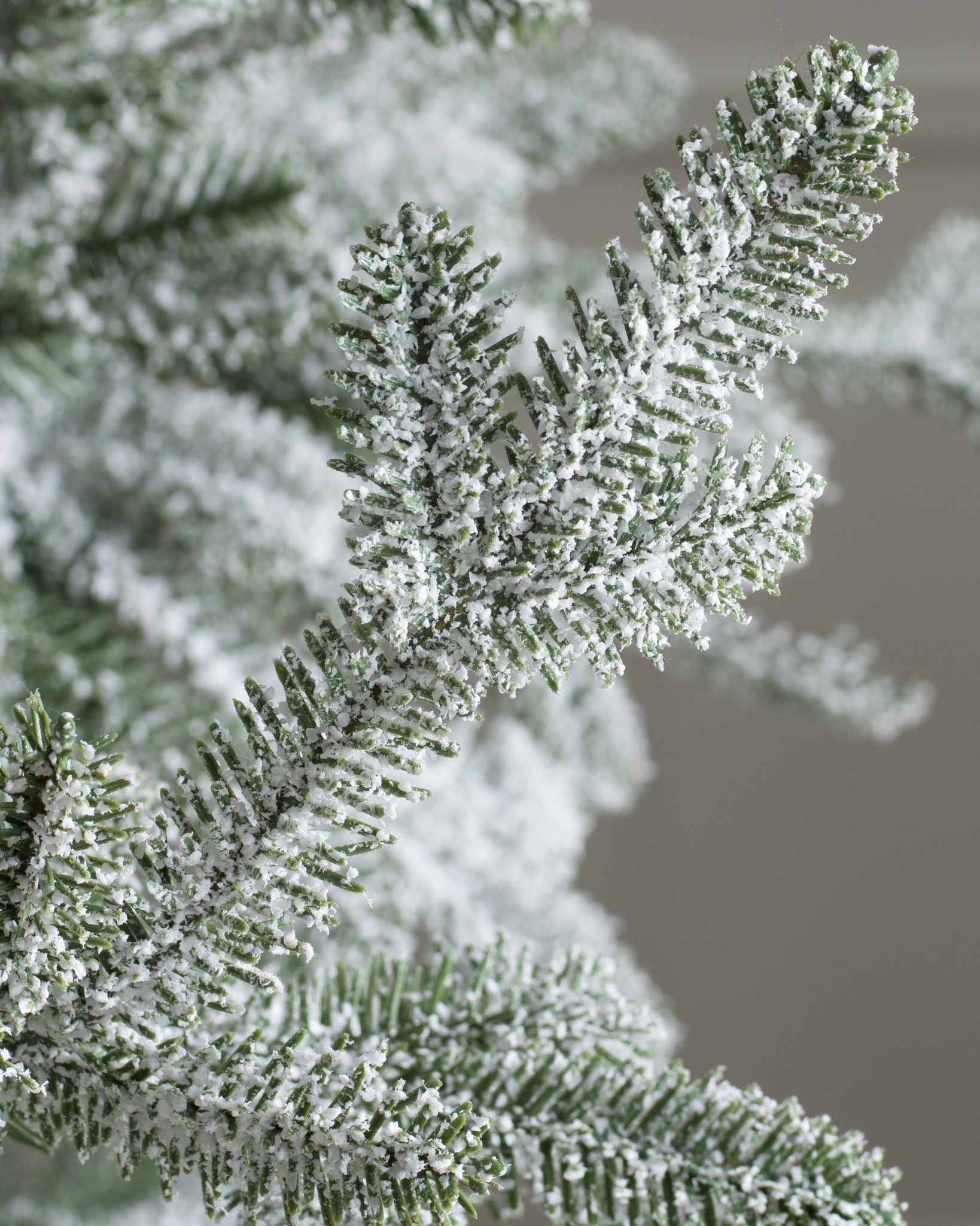 Frosted Alpine Balsam Fir Artificial Trees Balsam Hill
