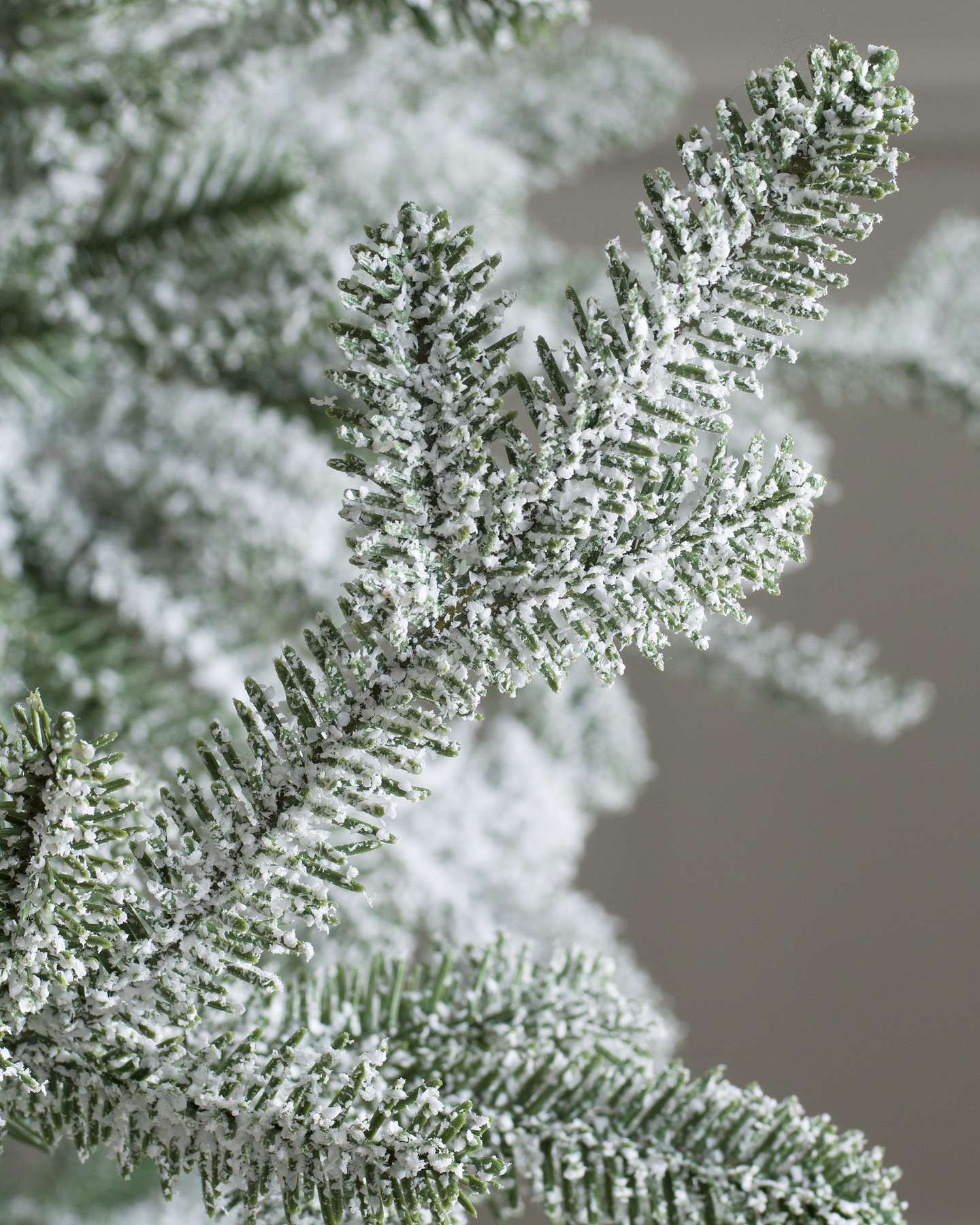 Balsam Hill Frosted Alpine Balsam Fir Artificial Christmas Tree Detail