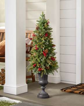 Outdoor Winter Evergreen Potted Tree Outdoor Winter Evergreen Potted Tree