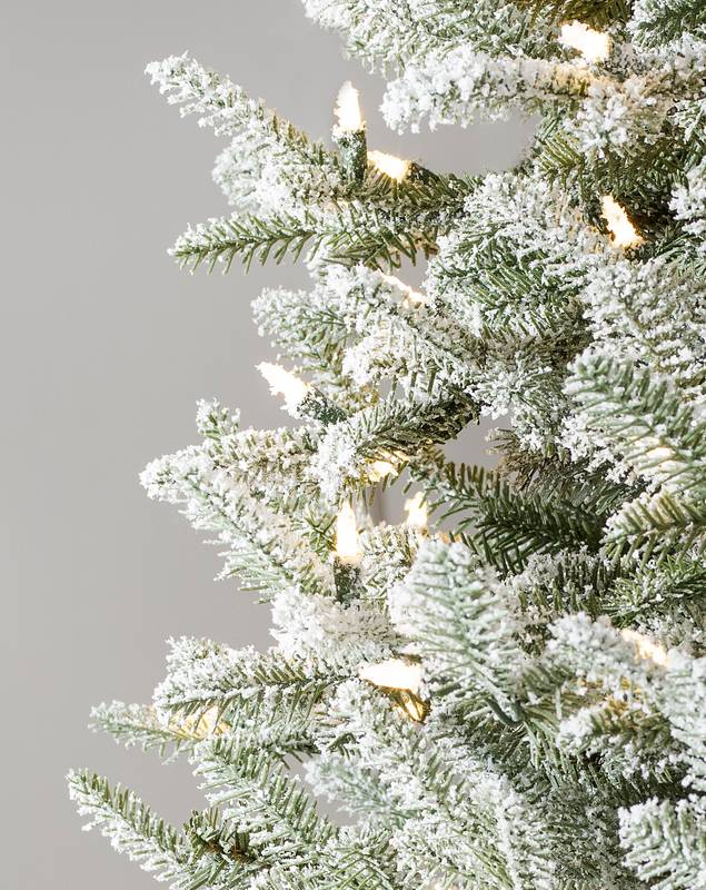 Frosted BH Balsam Fir® Christmas Tree | Balsam Hill