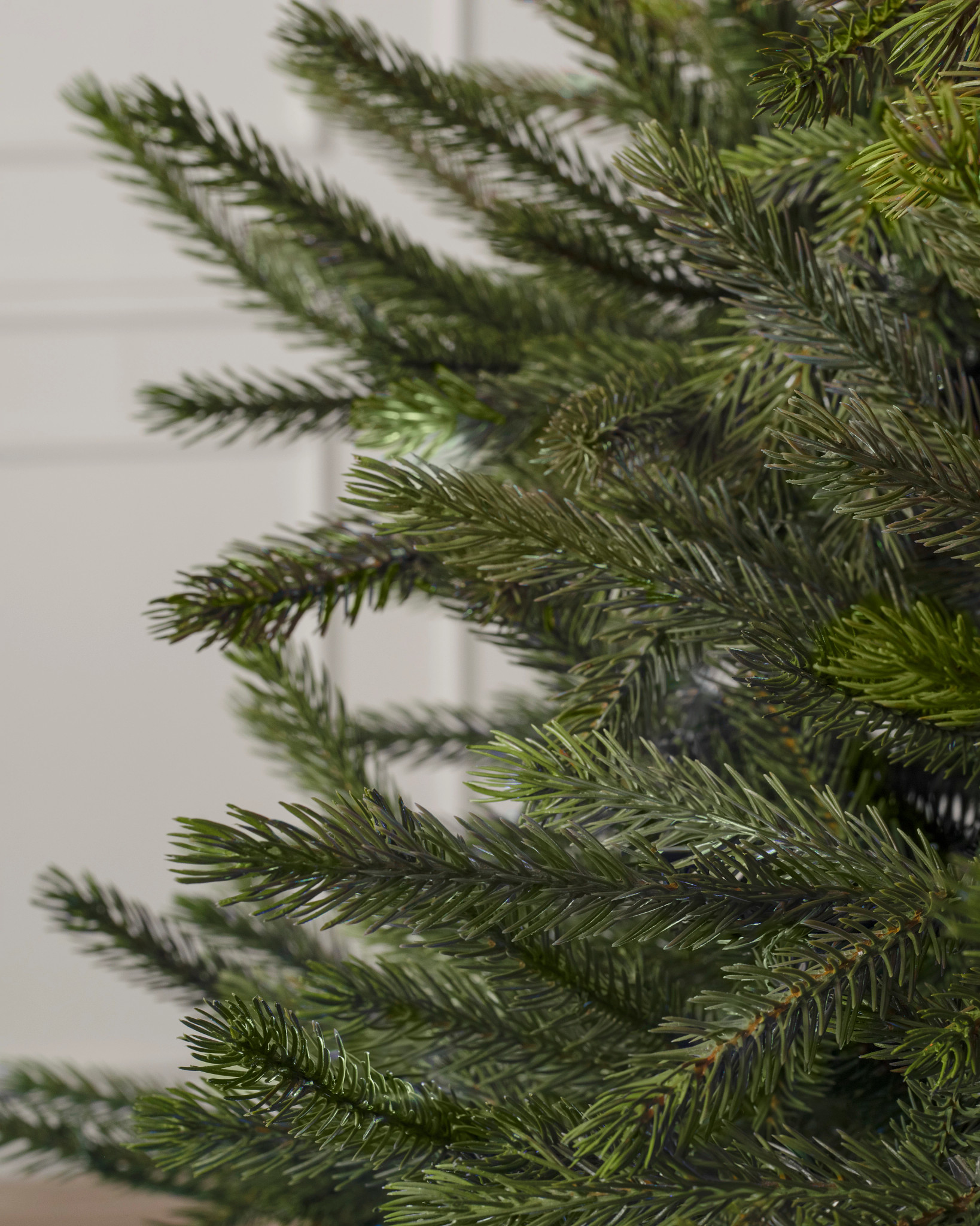 Black Hills Spruce Christmas Trees Balsam Hill