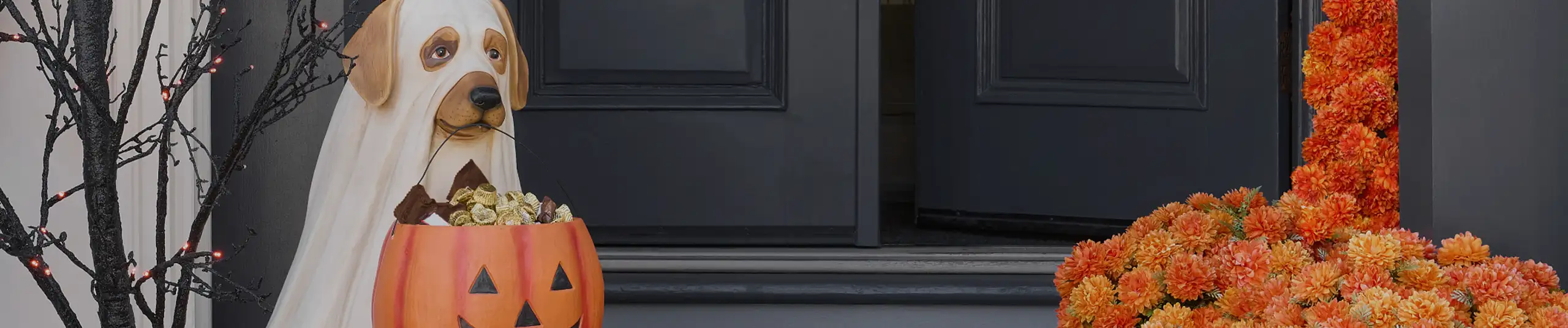 plp-banner