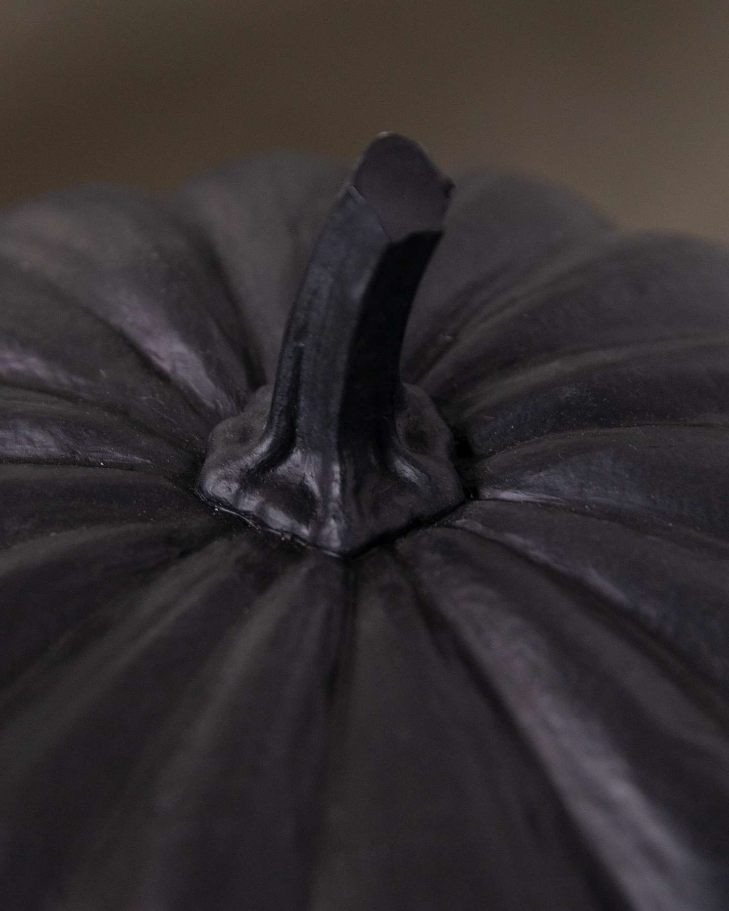Balsam Hill Black Outdoor Lit Cat-o-Lantern Stem Closeup