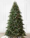 Colorado Mountain Spruce Tree by Balsam Hill SSC 30