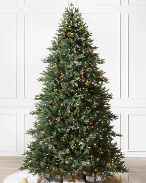 Colorado Mountain Spruce Flip Tree® Colorado Mountain Spruce Flip Tree®