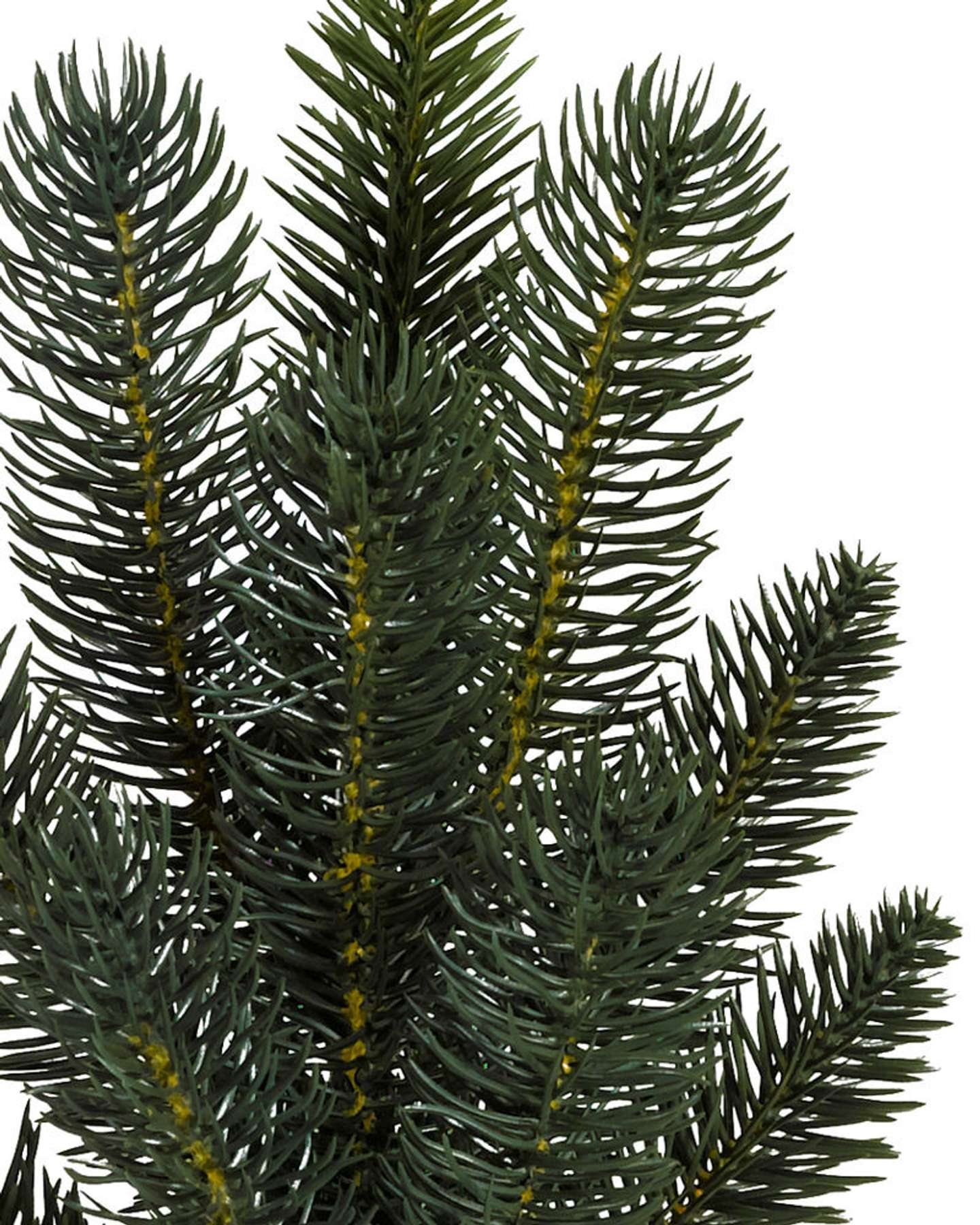 Balsam Hill Aspen Estate Fir Flip Artificial Christmas Tree Detail