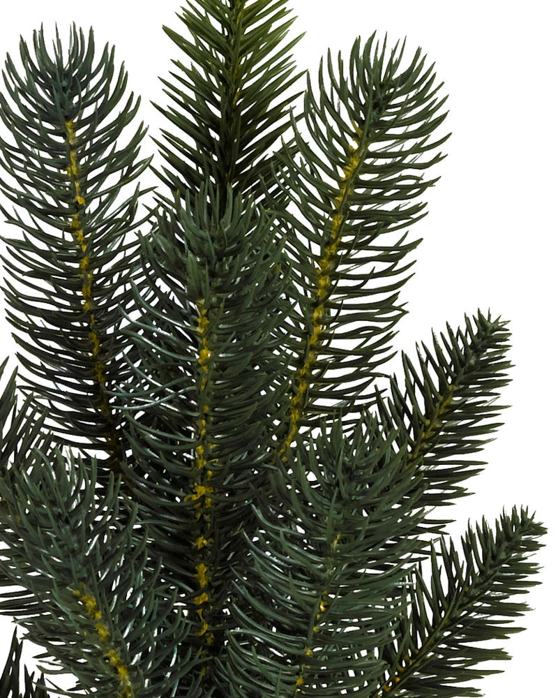 Aspen Estate Fir