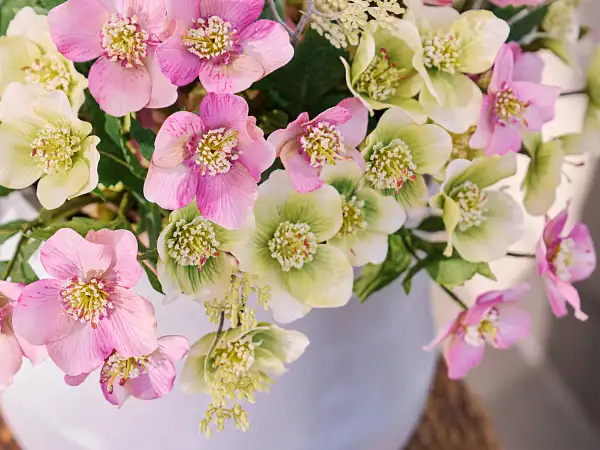 Featured: Morning Blossoms Main Set