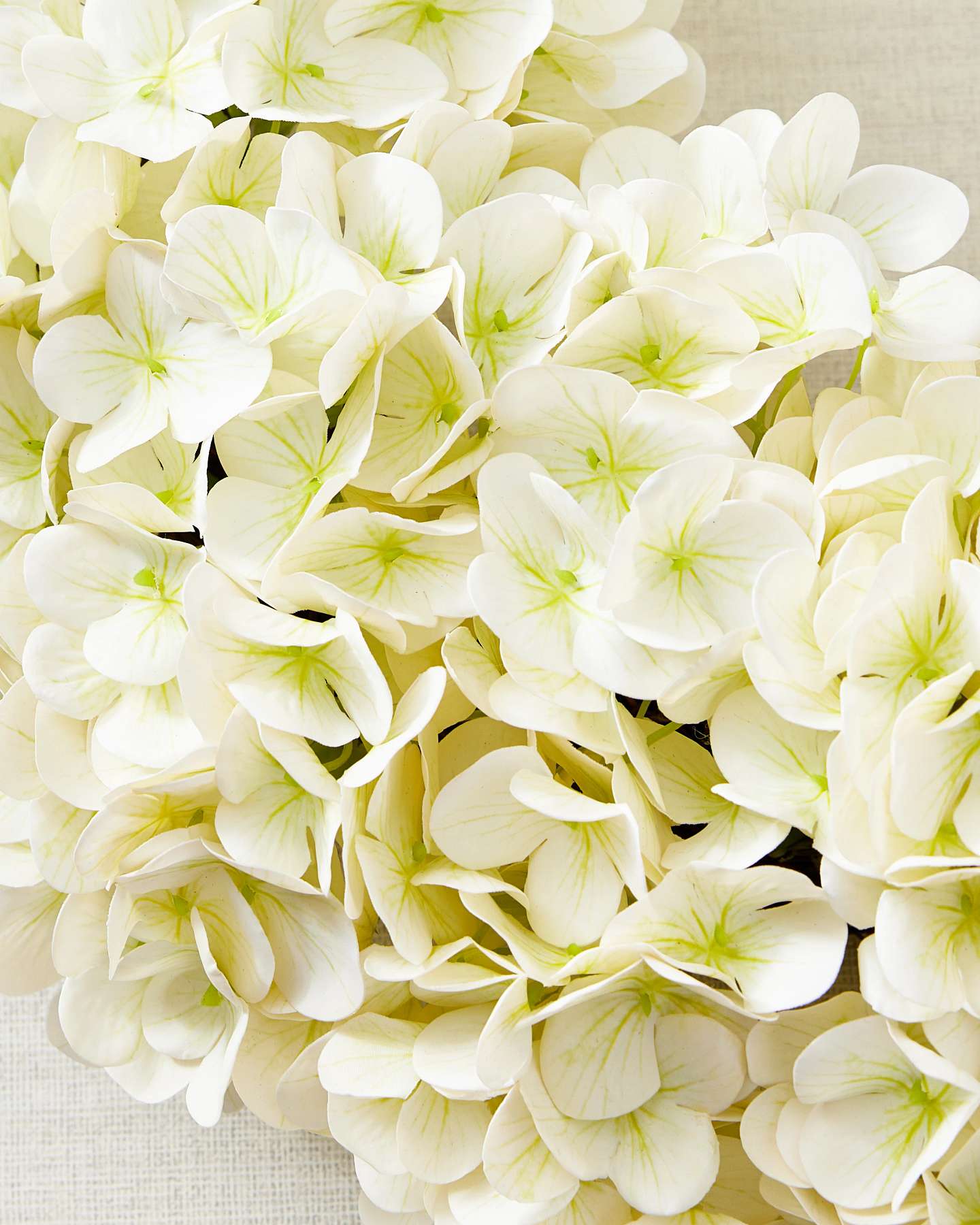 Balsam Hill Ivory Outdoor Hydrangea Harmony Artificial Spring Wreath 24-Inch Closeup Featuring Floral Texture