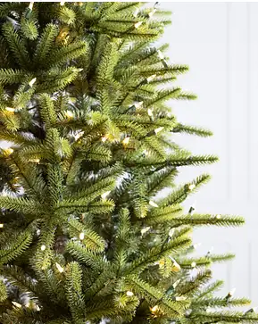Sapin Grandview Sapin Grandview
