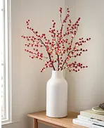 35 Red Berry Branch - RFD