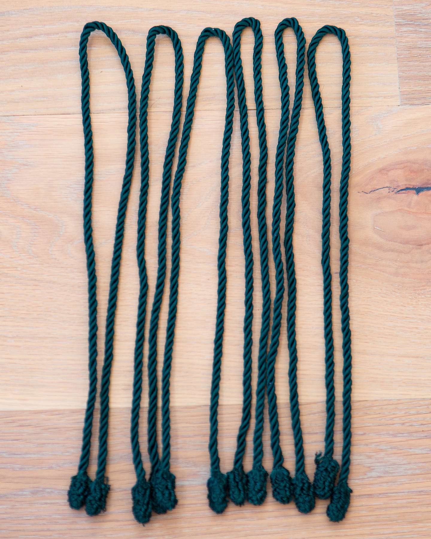 Balsam Hill Garland Ties Set of 6 Full View