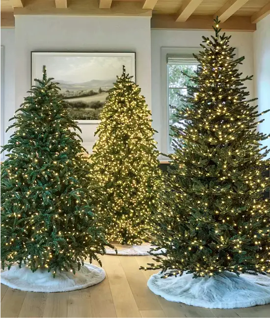 The Tree Shop