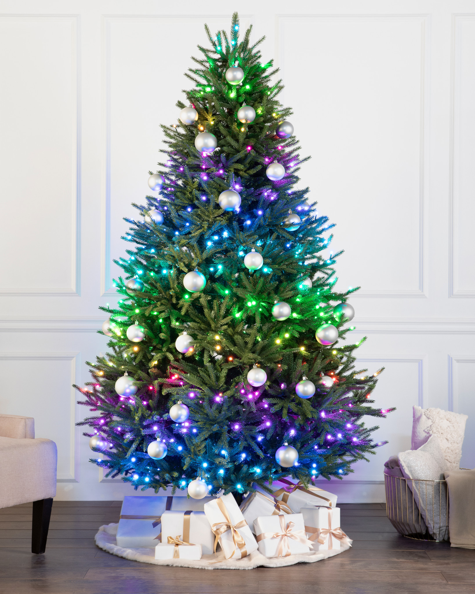 Black Hills Spruce Christmas Trees Balsam Hill