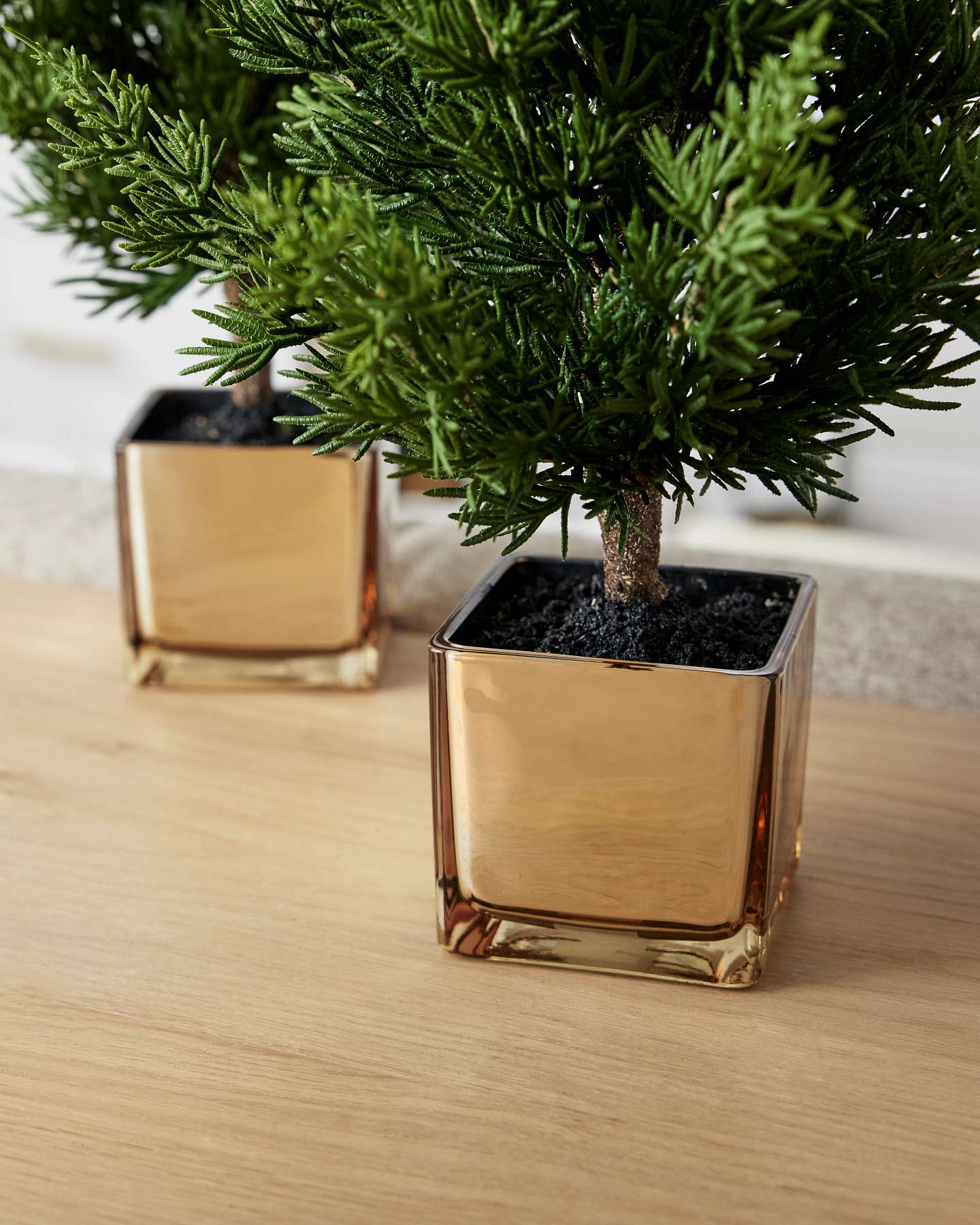 Balsam Hill Evergreen Tabletop Artificial Christmas Tree with Gold Base Set of 3 Base Closeup