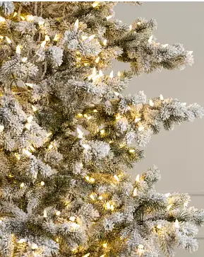 Frosted Yukon Spruce Frosted Yukon Spruce