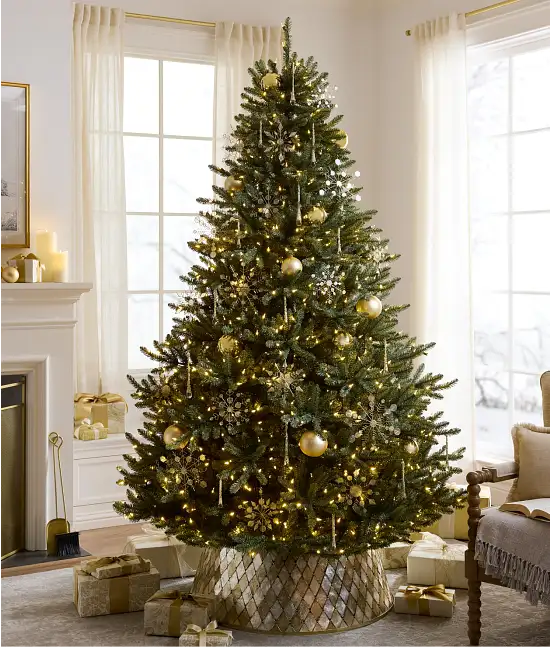 All for the Tree