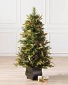 Coloma Golden Pine Potted Tree by Balsam Hill SSC 10