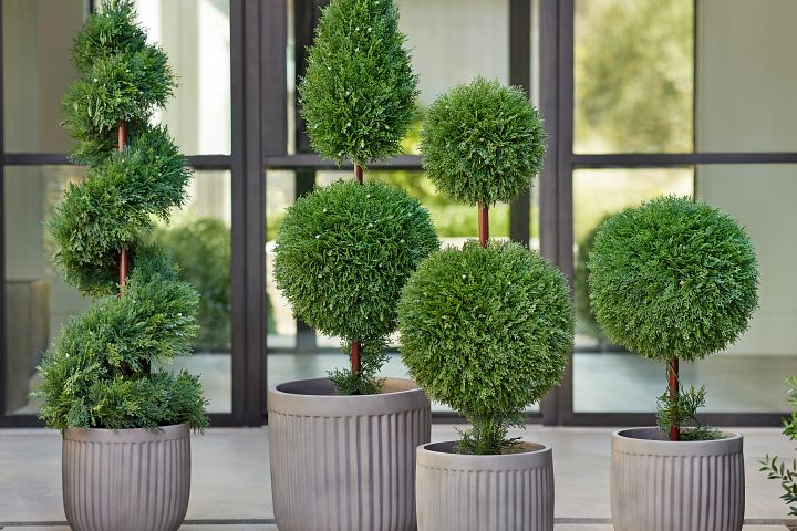 Artificial topiary plants deals