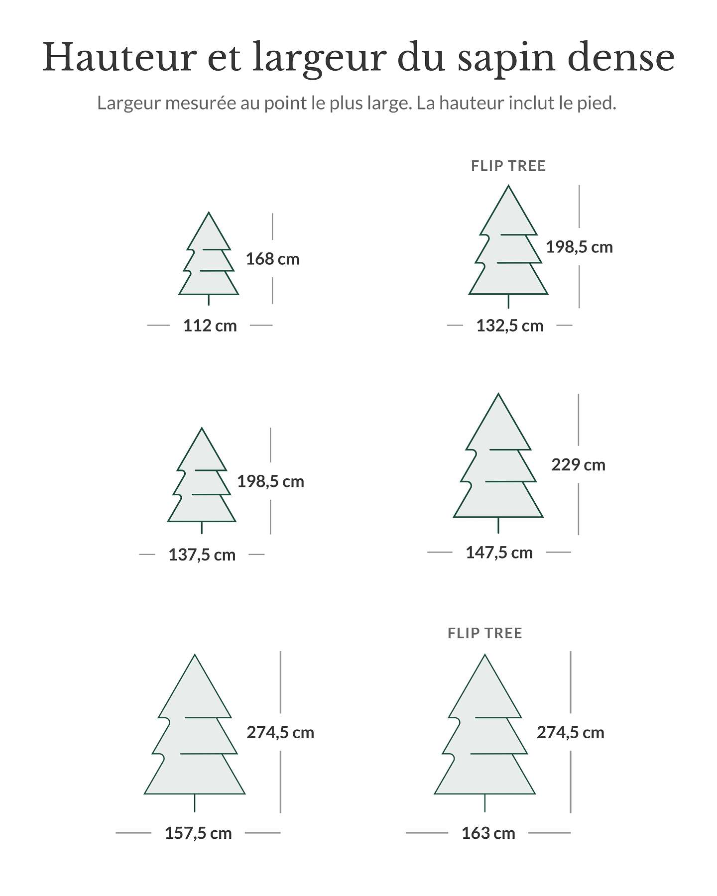 Sapin Fraser