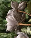 Mini Magnolia Picks, Set of 12 by Balsam Hill Closeup 20
