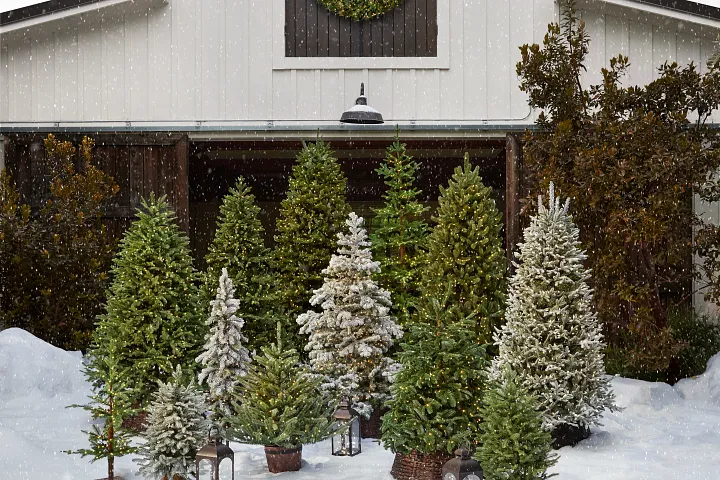 Collection of artificial trees in different colours