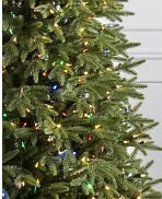 https://source.widen.net/content/x5p6upegm8/webp/Silverado-Slim-Artificial-Christmas-Tree_LEDCPLUSC_Closeup-10.webp?position=c&color=ffffffff&quality=80&u=7mzq6p&w=74&h=91&retina=true
