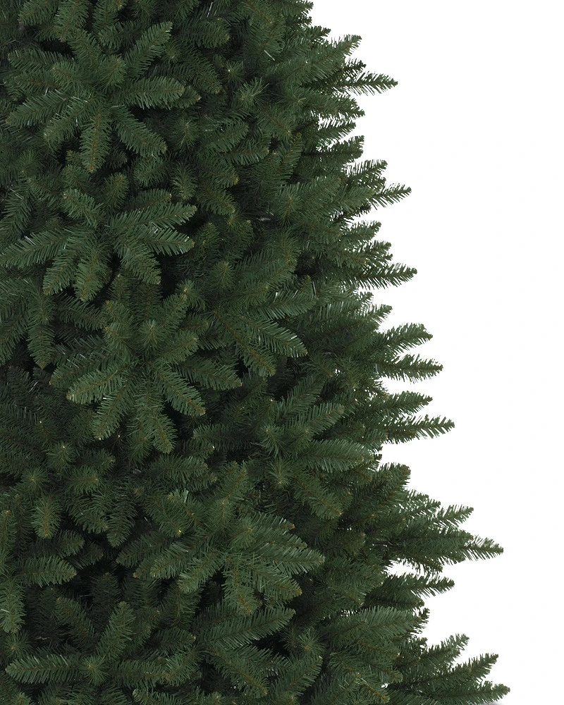 Berkshire Mountain Fir