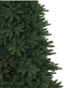 Berkshire Mountain Fir Berkshire Mountain Fir