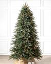 Mariana Spruce by Balsam Hill SSC 30