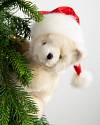 4\' Peek-A-Boo Polar Bear Tree by Balsam Hill
