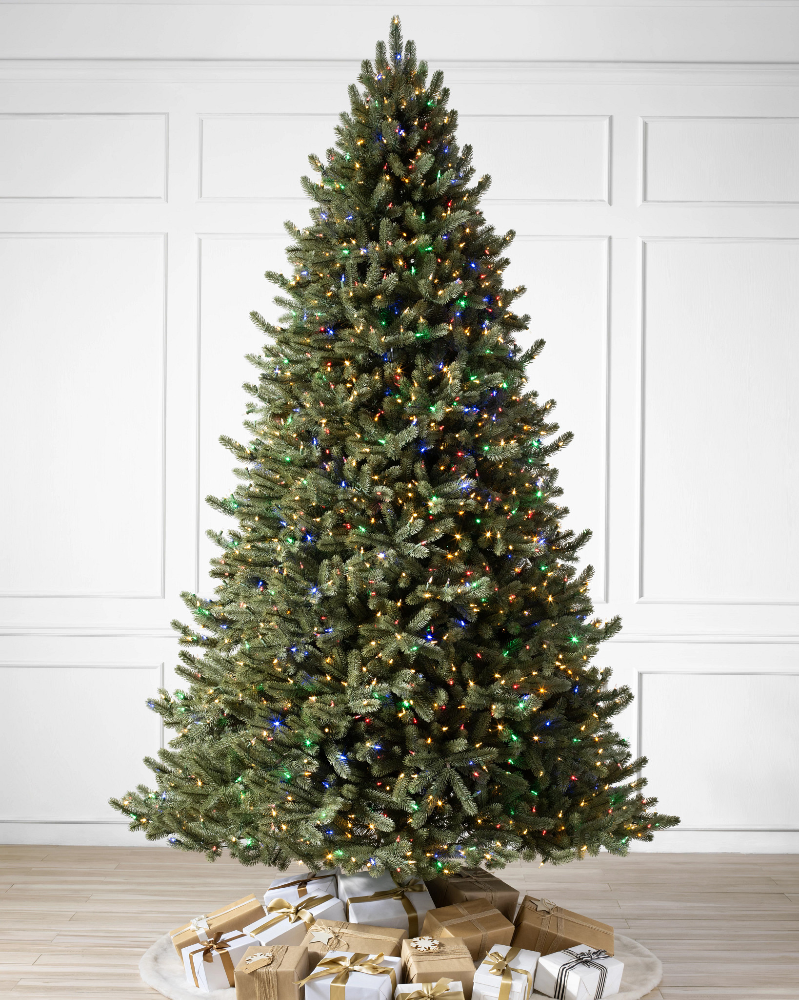 Vermont White Spruce