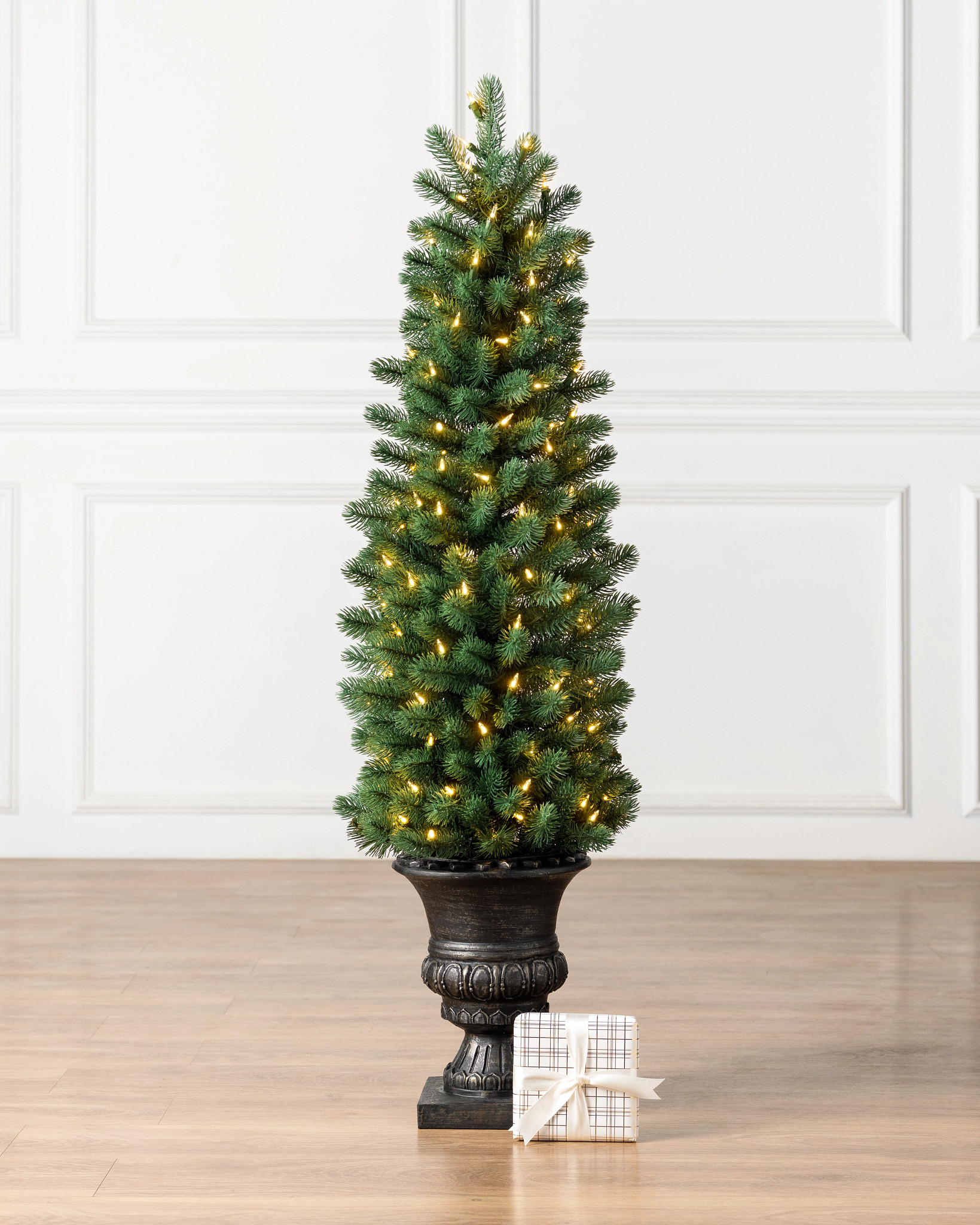 Sonoma Slim® Potted Pencil Tree