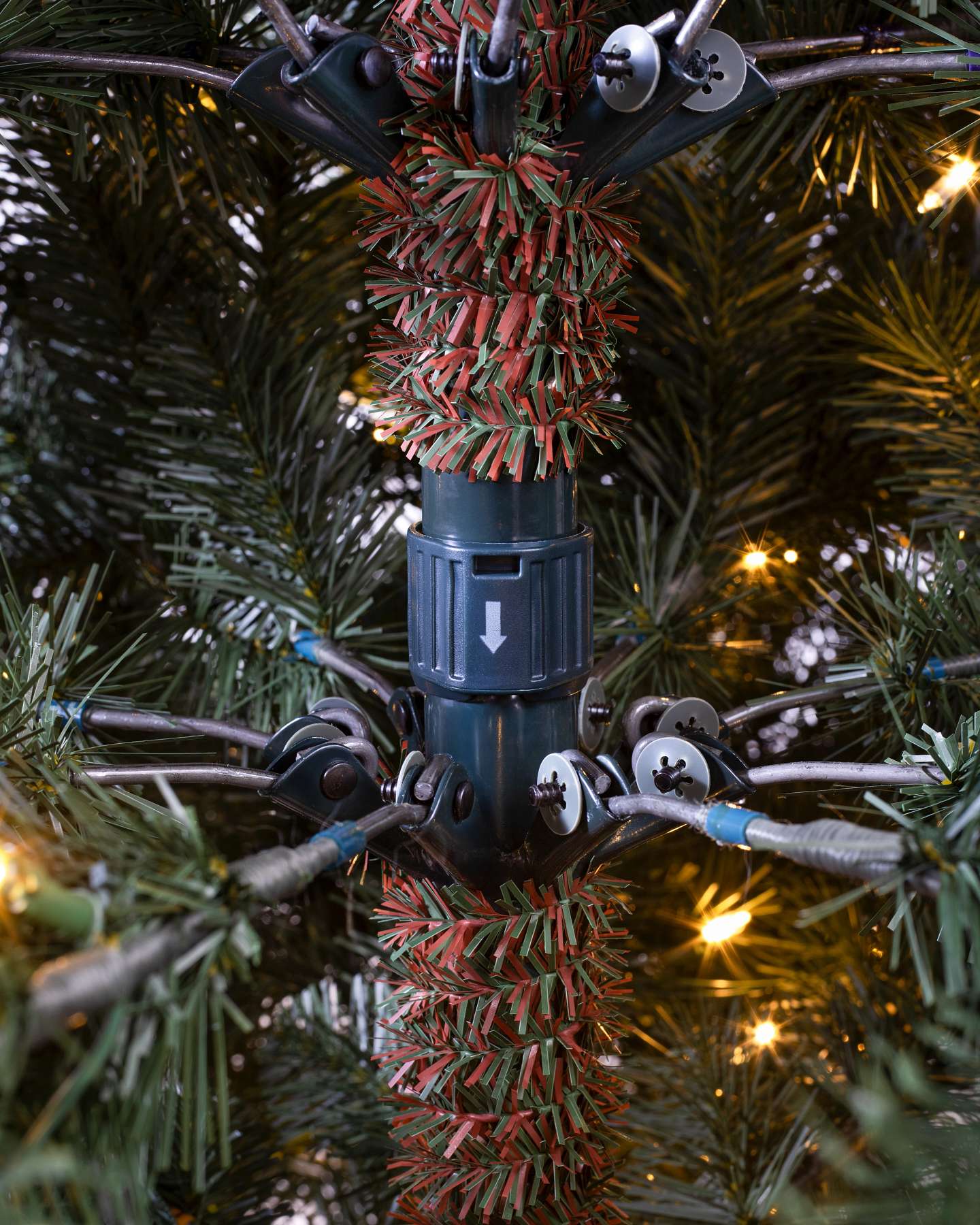 Classic Douglas Fir