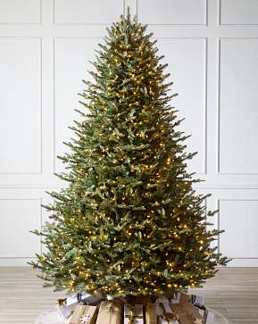 BH Balsam Fir BH Balsam Fir