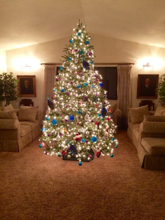 Classic Blue Spruce® Christmas Trees Balsam Hill