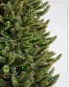 Vermont White Spruce Narrow Closeup 25 by Balsam Hill