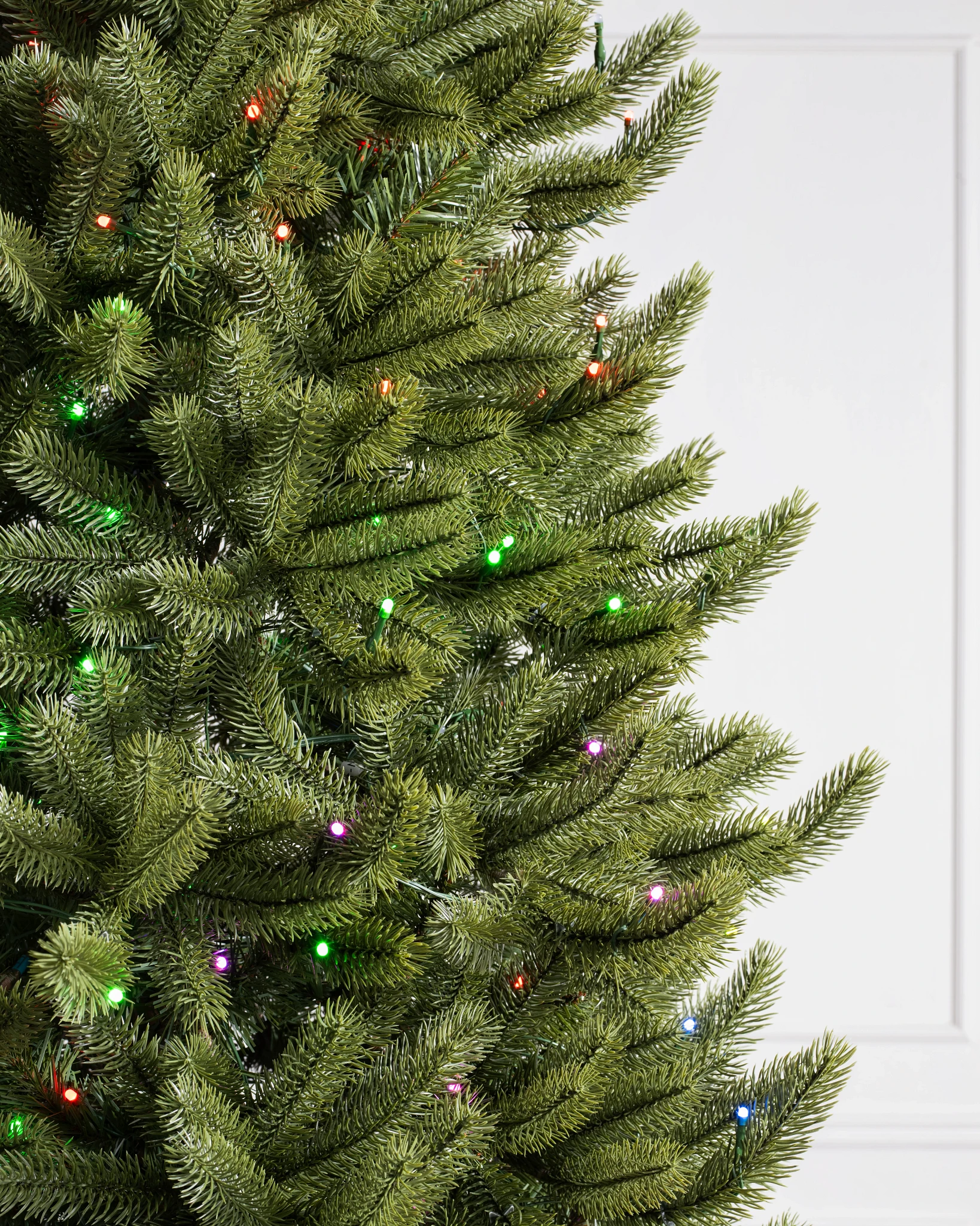 Vermont White Spruce Narrow