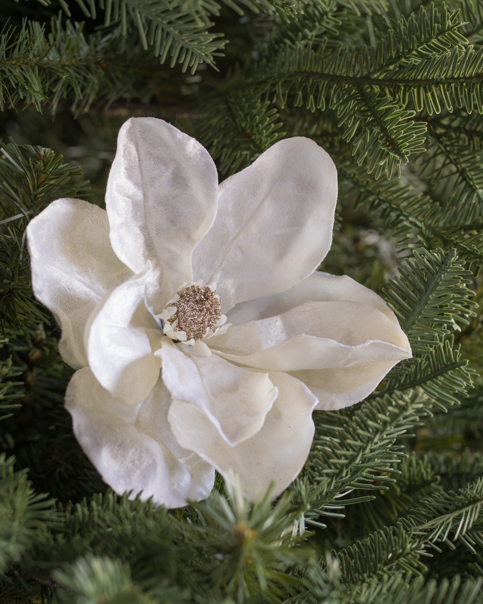 Magnolia Christmas Picks Tree Blossoms Balsam Hill