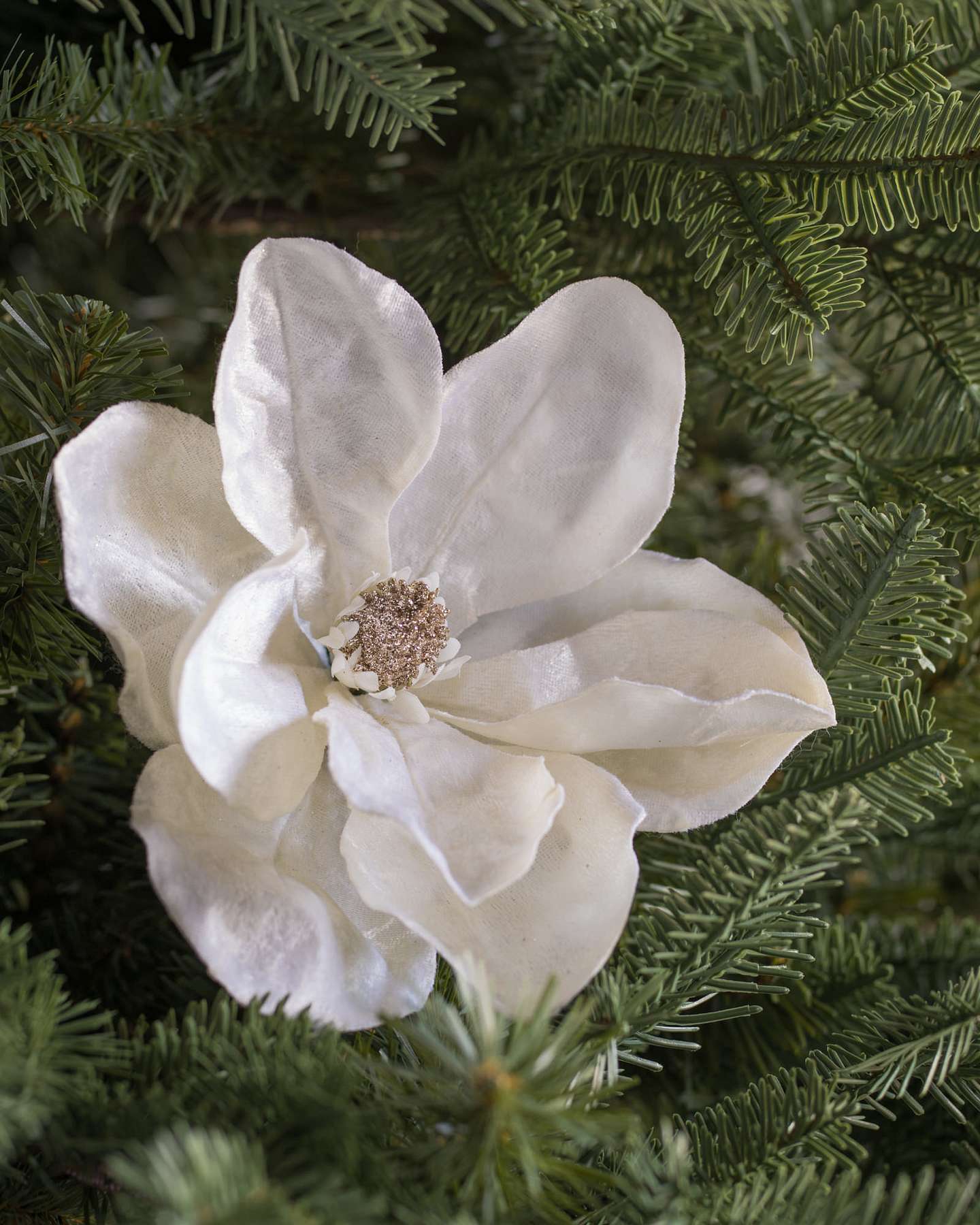 Balsam Hill Magnolienzweige in Elfenbein | Luxuriöse Weihnachtsblumen-Details