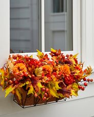 Autumn window box with pumpkins and red berries