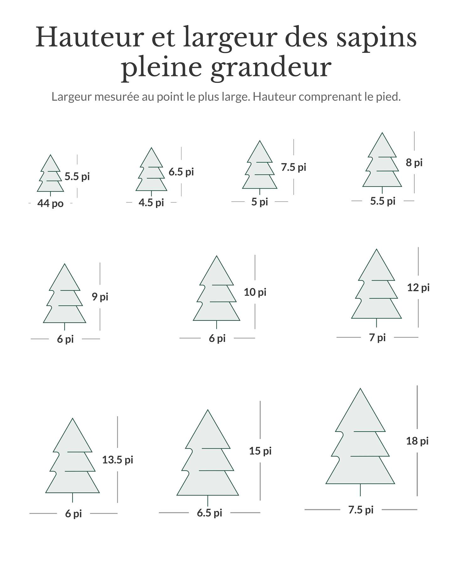 Sapin baumier de 5,5 pi