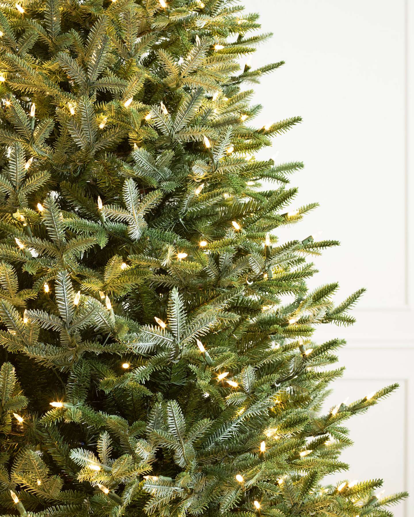 European Silver Fir by Balsam Hill Closeup 10