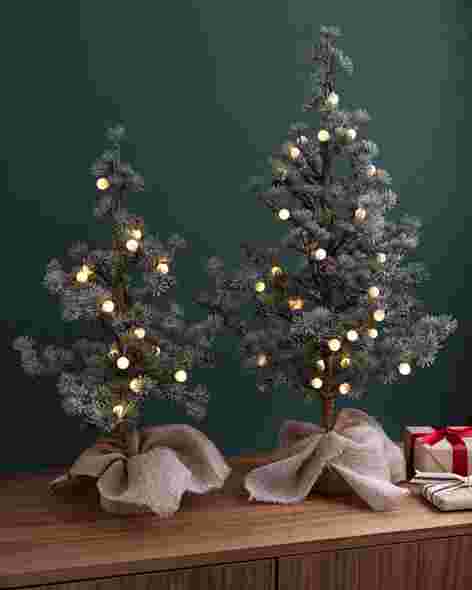 Frosted Pine Sapling Set of 2 by Balsam Hill