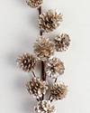 Champagne Pinecone Picks Set of 12 by Balsam Hill Closeup 20