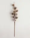 Champagne Pinecone Picks Set of 12 by Balsam Hill Closeup 10